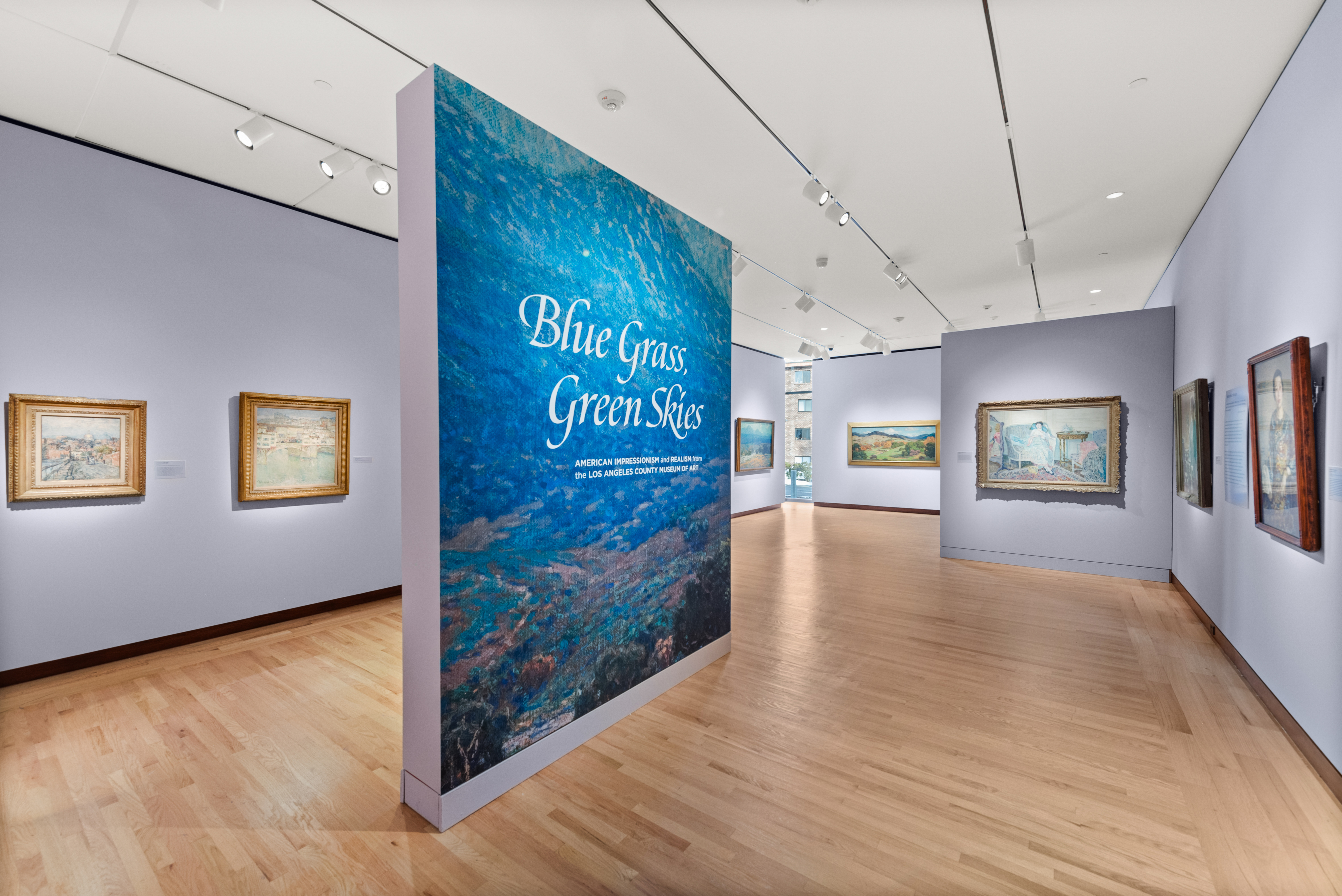 Blue Grass, Green Skies