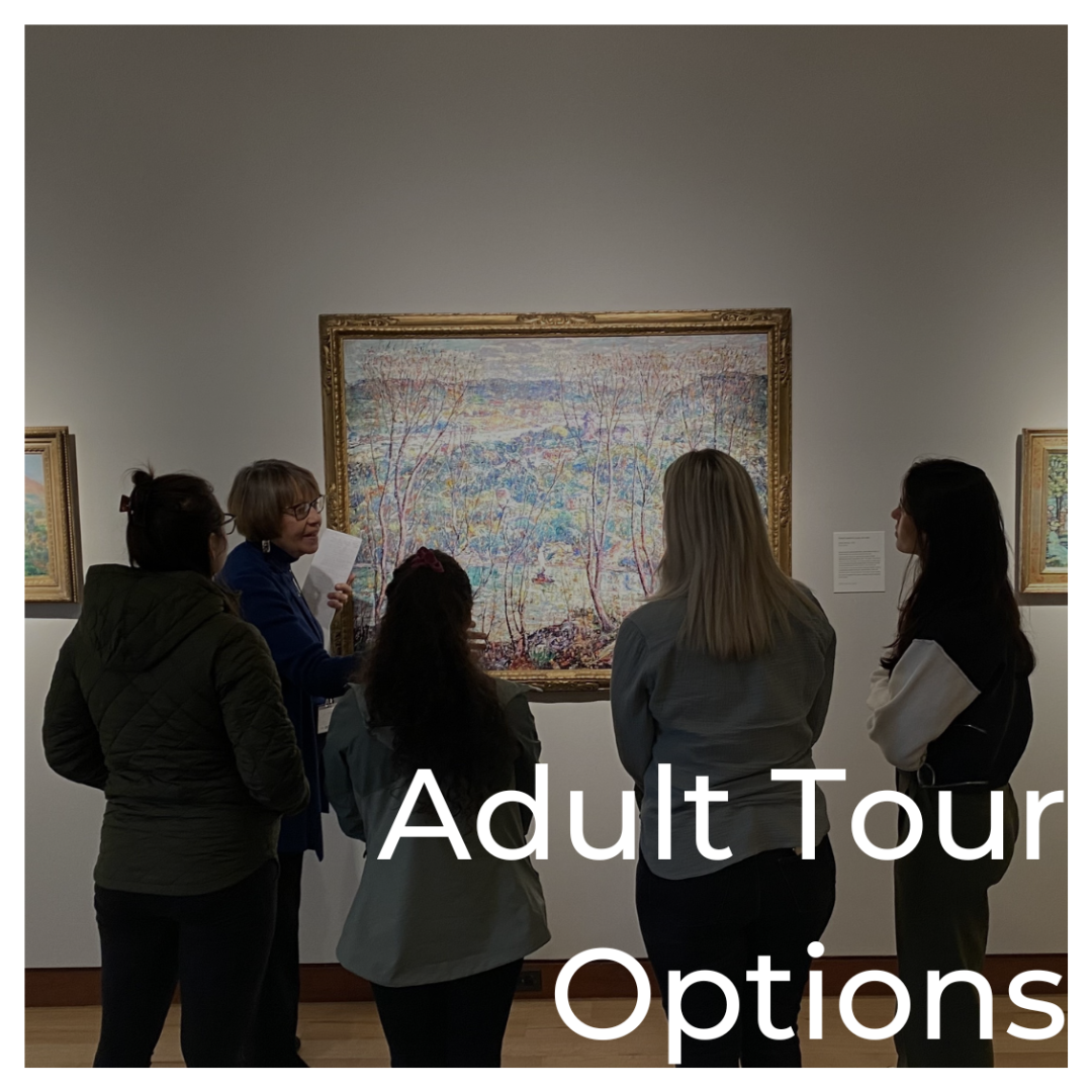 Adult Tour Options