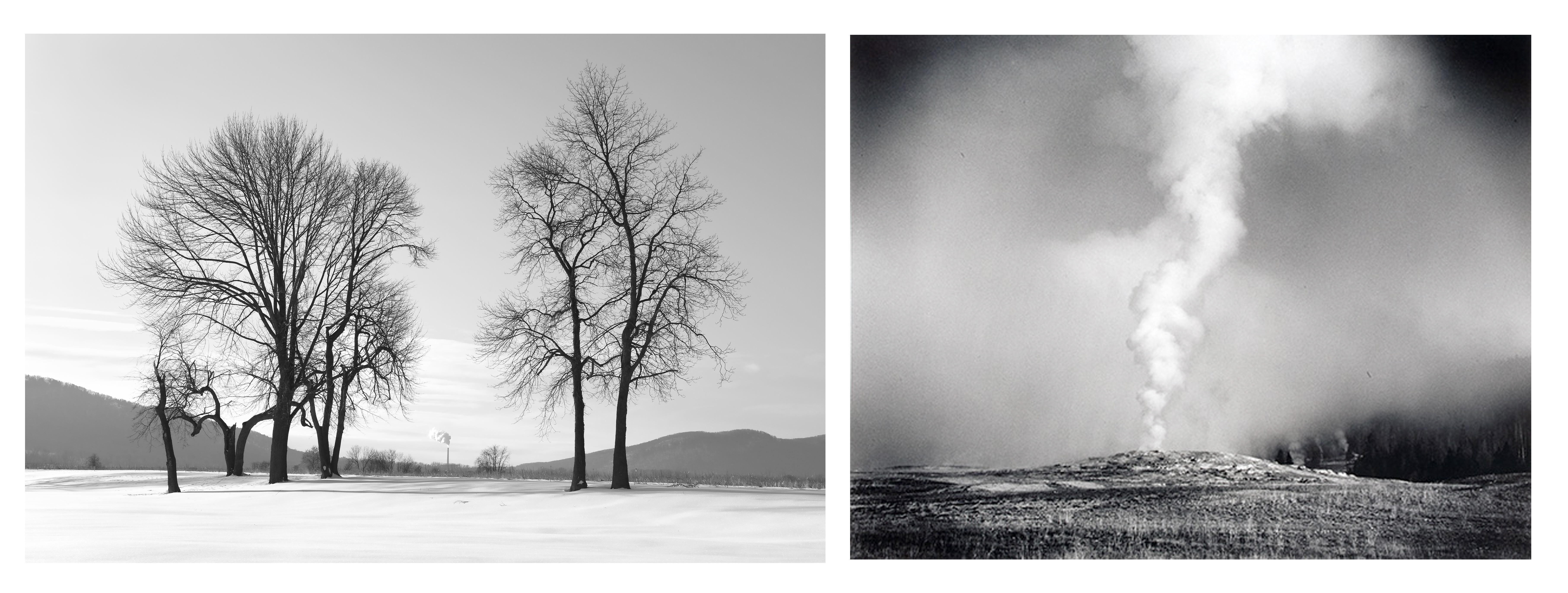 Stephen Petegorsky, "Winter Trees and Smokestack," ca. 2009, Pigment inkjet print, 17 x 22 in., Gift of the artist Marion Belanger, "Old Faithful," Photograph, Gift of the artist